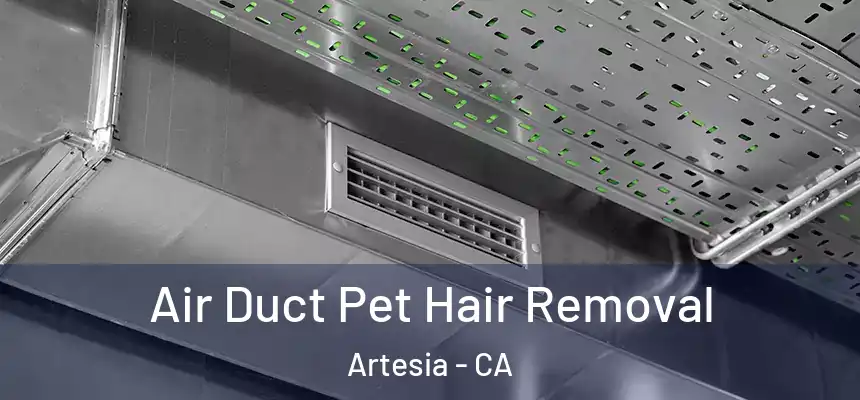  Air Duct Pet Hair Removal Artesia - CA