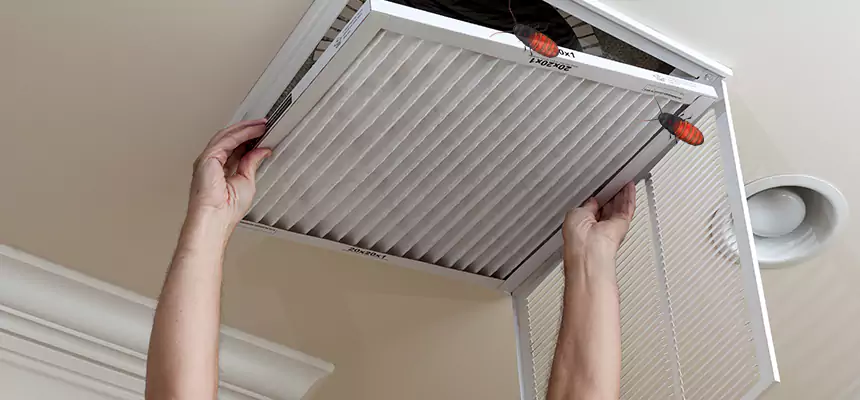 Preventive Cockroach-Proofing for Ducts in Artesia