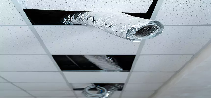 Our Air Duct Pet Hair Removal Services in Artesia, CA