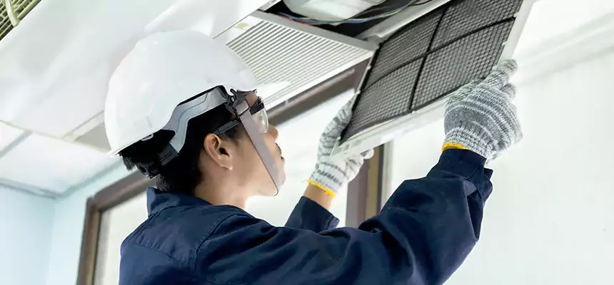 Our Mold & Mildew Removal from Air Ducts Services in Artesia, CA