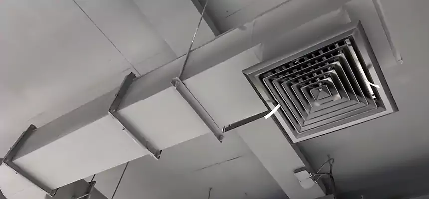 Our Pest Removal From Ducts Services in Artesia, CA