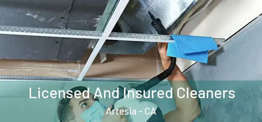  Licensed And Insured Cleaners Artesia - CA