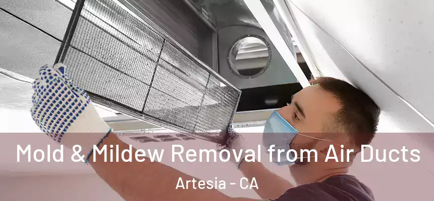  Mold & Mildew Removal from Air Ducts Artesia - CA