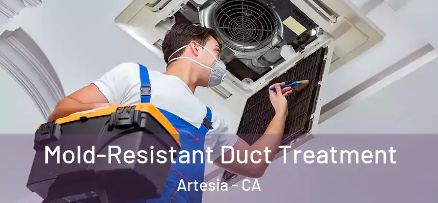  Mold-Resistant Duct Treatment Artesia - CA