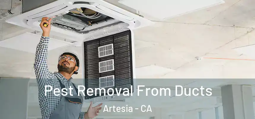  Pest Removal From Ducts Artesia - CA