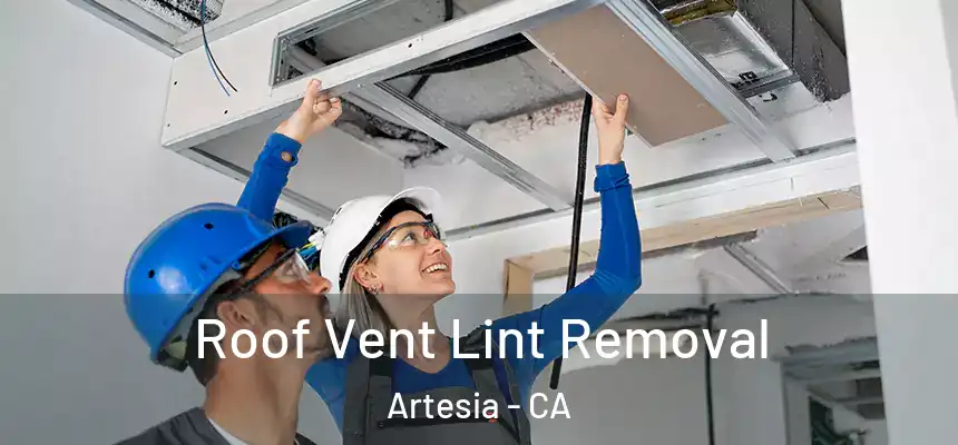  Roof Vent Lint Removal Artesia - CA