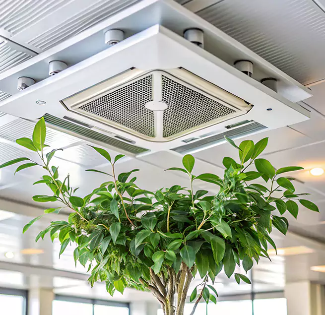 Why Homeowners & Businesses Trust Us in Artesia, CA?